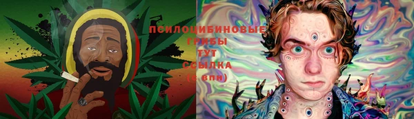 метадон Михайлов