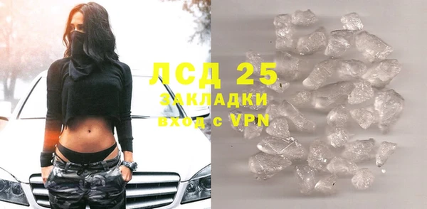 прущие грибы Михайловка