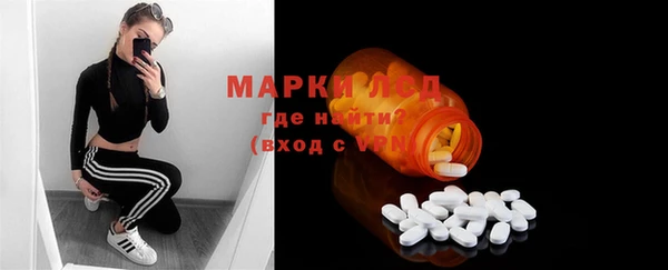 прущие грибы Михайловка
