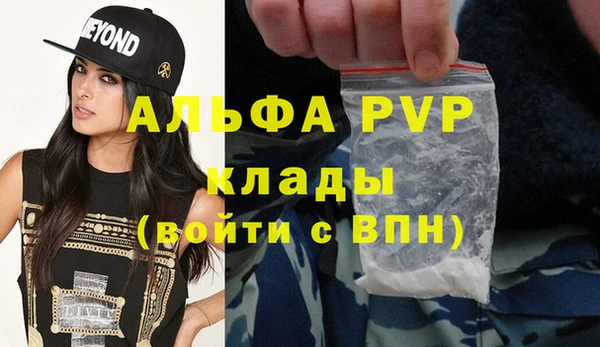 прущие грибы Михайловка