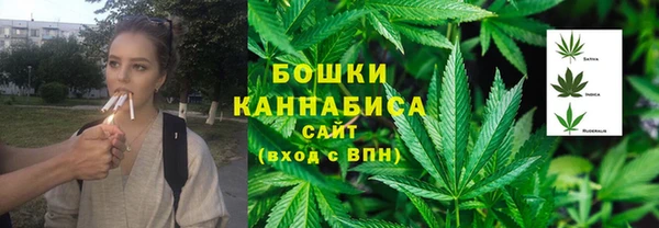 прущие грибы Михайловка